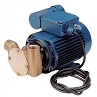 Jabsco 53020 Bronze Utility Pump AC Motor Pump Unit